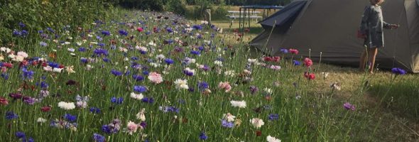 Velkommen hos Keldborg